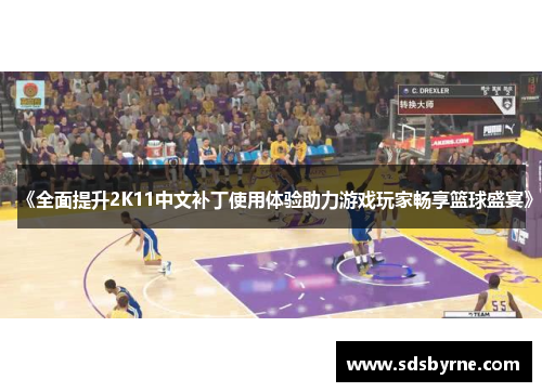 《全面提升2K11中文补丁使用体验助力游戏玩家畅享篮球盛宴》